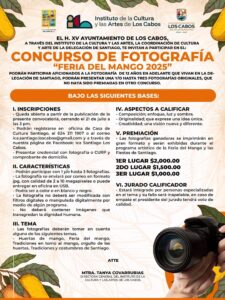Te invitamos a inscribirte en los concursos de fotografía, gastronomía y pintura de la comunidad de la delegación de Santiago