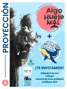 Mujeres de Acción y Resiliencia