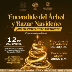 Encendido del Árbol y Bazar Navideño