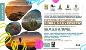 Te invitamos a sumergirte en la belleza natural de nuestro territorio, capturada a través del lente mágico de Adrián Matías de Antoni