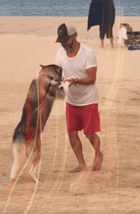 Baila la Plaza-Playa: Programa cultural del ICA Los Cabos