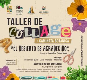 Taller de Collage y Caminata Botánica en Los Cabos